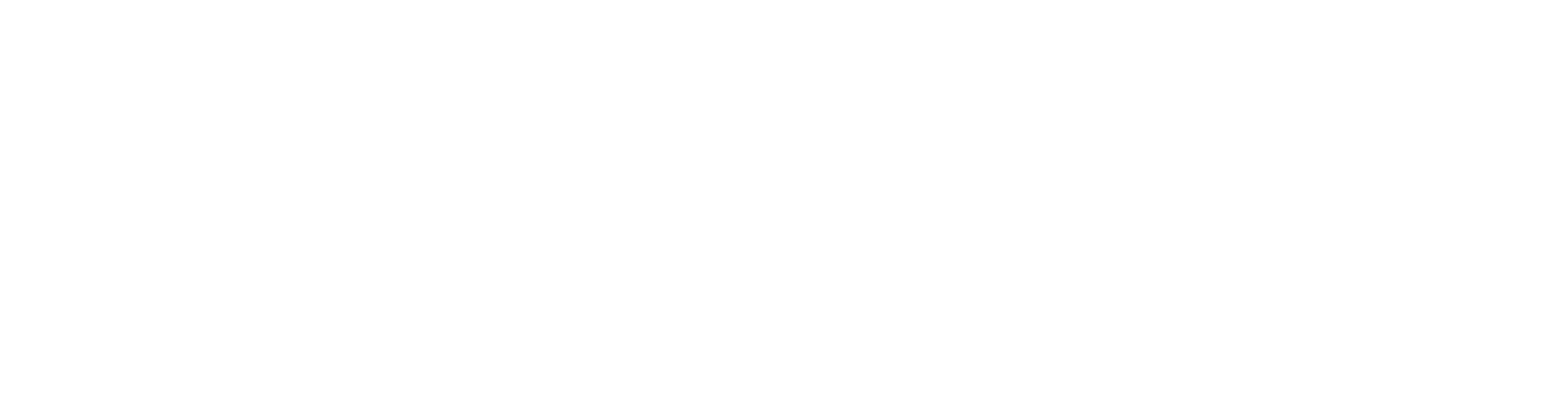 SAF International